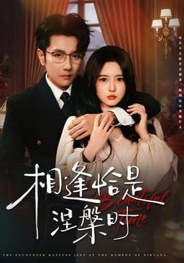相逢恰是涅槃时 - 女频恋爱 2025