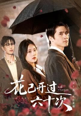 花已开过六十次 - 现代都市 2025