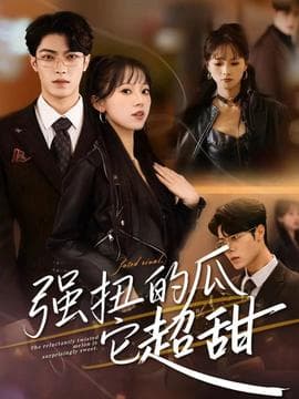 强扭的瓜它超甜 - 现代都市 (2025) 海报