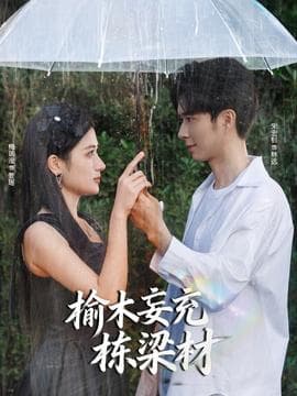 榆木妄充栋梁材 - 女频恋爱 2025