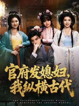 官府发媳妇，我纵横古代 - 年代穿越 2025