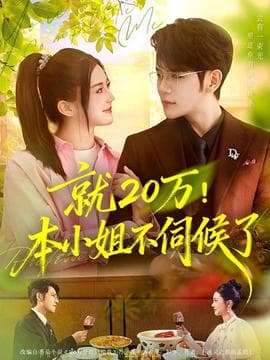 就20万！本小姐不伺候了 - 女频恋爱 2025