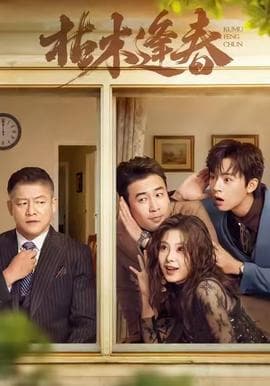 枯木逢春 - 现代都市 (2025) 海报