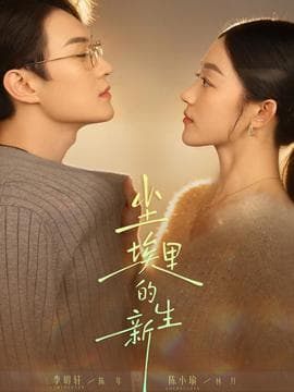 尘埃里的新生 - 女频恋爱 2025
