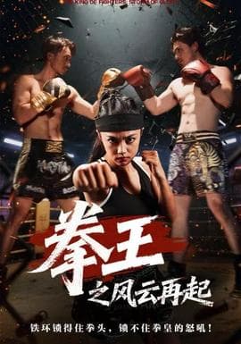 拳王之风云再起 - 现代都市 (2025) 海报