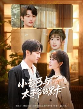 小乞丐与太子爷的黑卡 - 女频恋爱 (2025) 海报