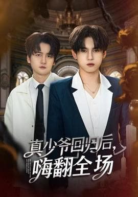 真少爷回归后，嗨翻全场 - 现代都市 (2025) 海报