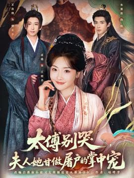 太傅别哭，夫人她甘做屠户的掌中宠 - 年代穿越 2025