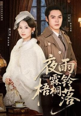 夜雨霖铃梧桐落 - 女频恋爱 2025