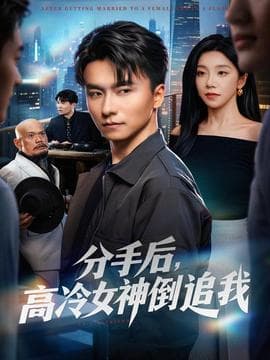 分手后，高冷女神倒追我 - 现代都市 (2025) 海报