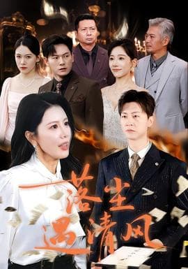 落尘遇清风 - 现代都市 2025