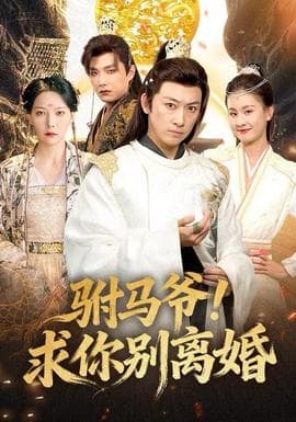 驸马爷！求你别离婚 - 古装仙侠 2025