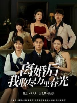 离婚后我收尽万里春光 - 现代都市 (2025) 海报