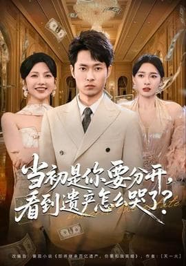 当初是你要分开，看到遗产怎么哭了？ - 现代都市 2025