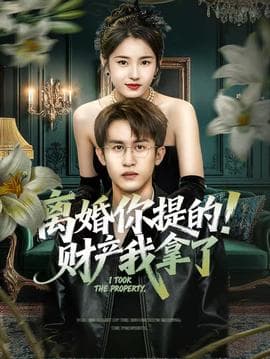 离婚你提的！财产我拿了 - 女频恋爱 2025