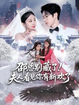 邵总别藏了！夫人看见你有新欢了 - 女频恋爱 2025