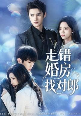 走错婚房找对郎 - 女频恋爱 2025