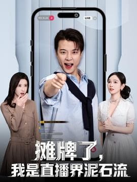 摊牌了，我是直播界泥石流 - 现代都市 (2025) 海报