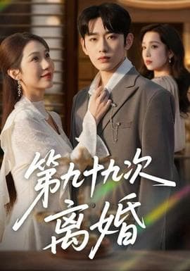 第九十九次离婚 - 现代都市 2025