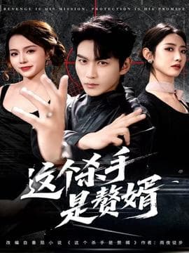 这个杀手是赘婿 - 现代都市 (2025) 海报