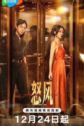 怒风 - 国产剧 2025