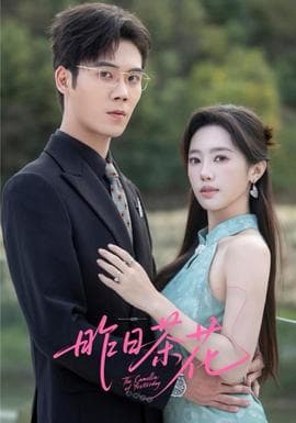 昨日茶花 - 女频恋爱 (2025) 海报