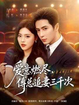 爱意燃尽，傅总追妻三千次 - 女频恋爱 2025