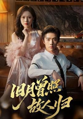 旧月曾照故人归 - 现代都市 (2025) 海报