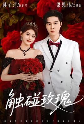 触碰玫瑰 - 现代都市 (2025) 海报