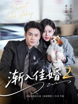 渐入佳婚2 - 现代都市 (2025) 海报