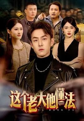 这个老大他懂法 - 现代都市 2025