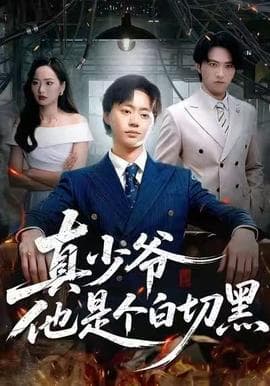 真少爷他是个白切黑 - 现代都市 (2025) 海报