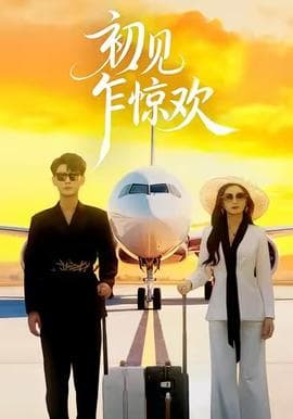 初见乍惊欢 - 现代都市 (2025) 海报