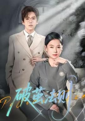破茧法则 - 现代都市 2025