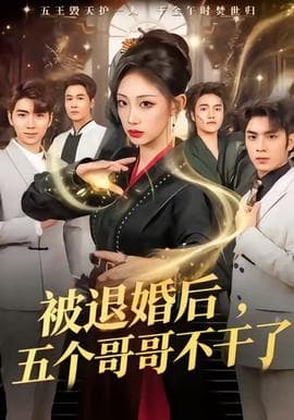被退婚后，五个哥哥不干了 - 现代都市 (2025) 海报