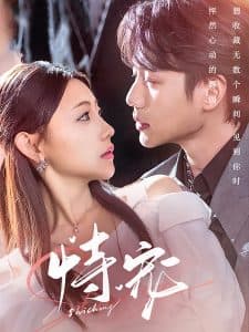 恃宠 - 国产剧 (2025) 海报