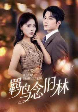 羁鸟念旧林 - 女频恋爱 (2025) 海报