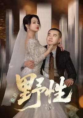 野性短剧版 - 女频恋爱 2025