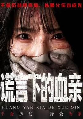 谎言下的血亲 - 现代都市 (2025) 海报