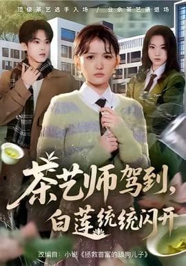 茶艺师驾到白莲统统闪开 - 现代都市 (2025) 海报