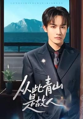 从此青山是故人 - 现代都市 (2025) 海报