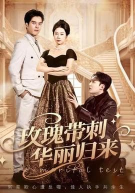 玫瑰带刺华丽归来 - 现代都市 2025