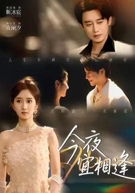 今夜宜相逢 - 现代都市 2025