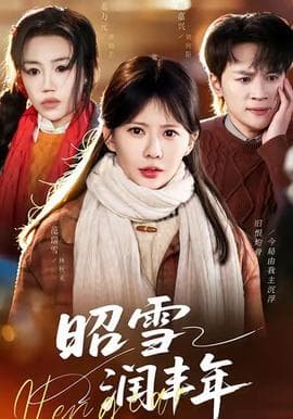 昭雪润丰年 - 现代都市 (2025) 海报