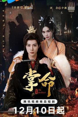 掌命 - 国产剧 2025