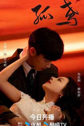 孤鸢 - 国产剧 2025