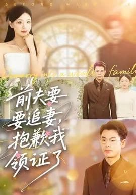 前夫要追妻，抱歉我领证了 - 现代都市 2025