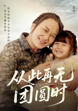 从此再无团圆时 - 现代都市 (2025) 海报