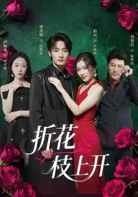 折花枝上开 - 现代都市 (2025) 海报
