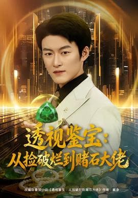 透视鉴宝：从捡破烂到赌石大佬 - 年代穿越 (2025) 海报